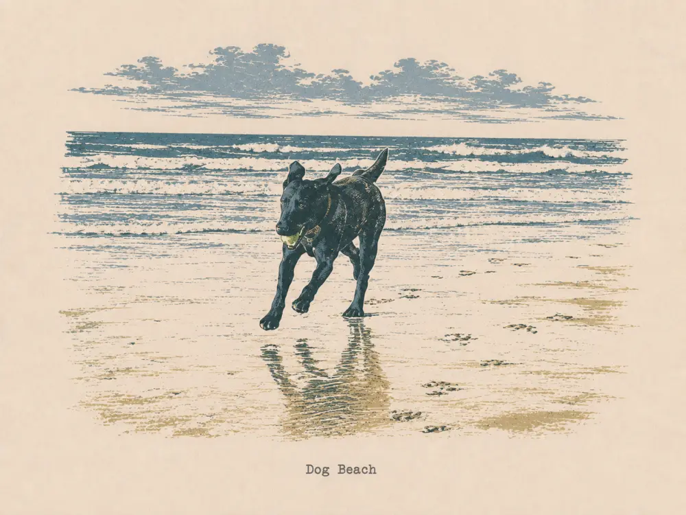 Woodcut-style illustration of a dog running with a ball on wet sand, captioned Dog Beach