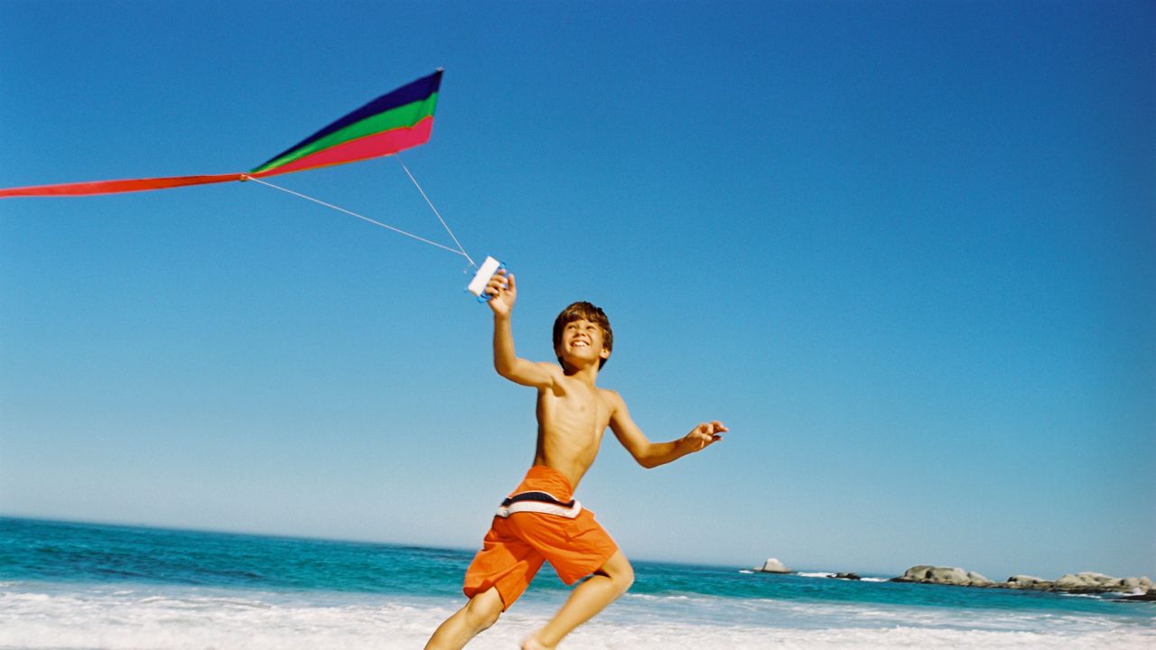 Colorful kite flying above the beach
