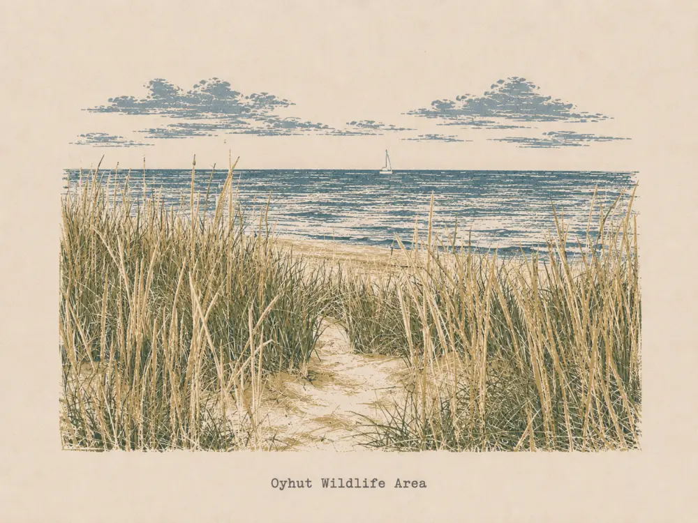 Woodcut-style illustration of dune grasses framing the beach and water, captioned Oyhut Wildlife Area