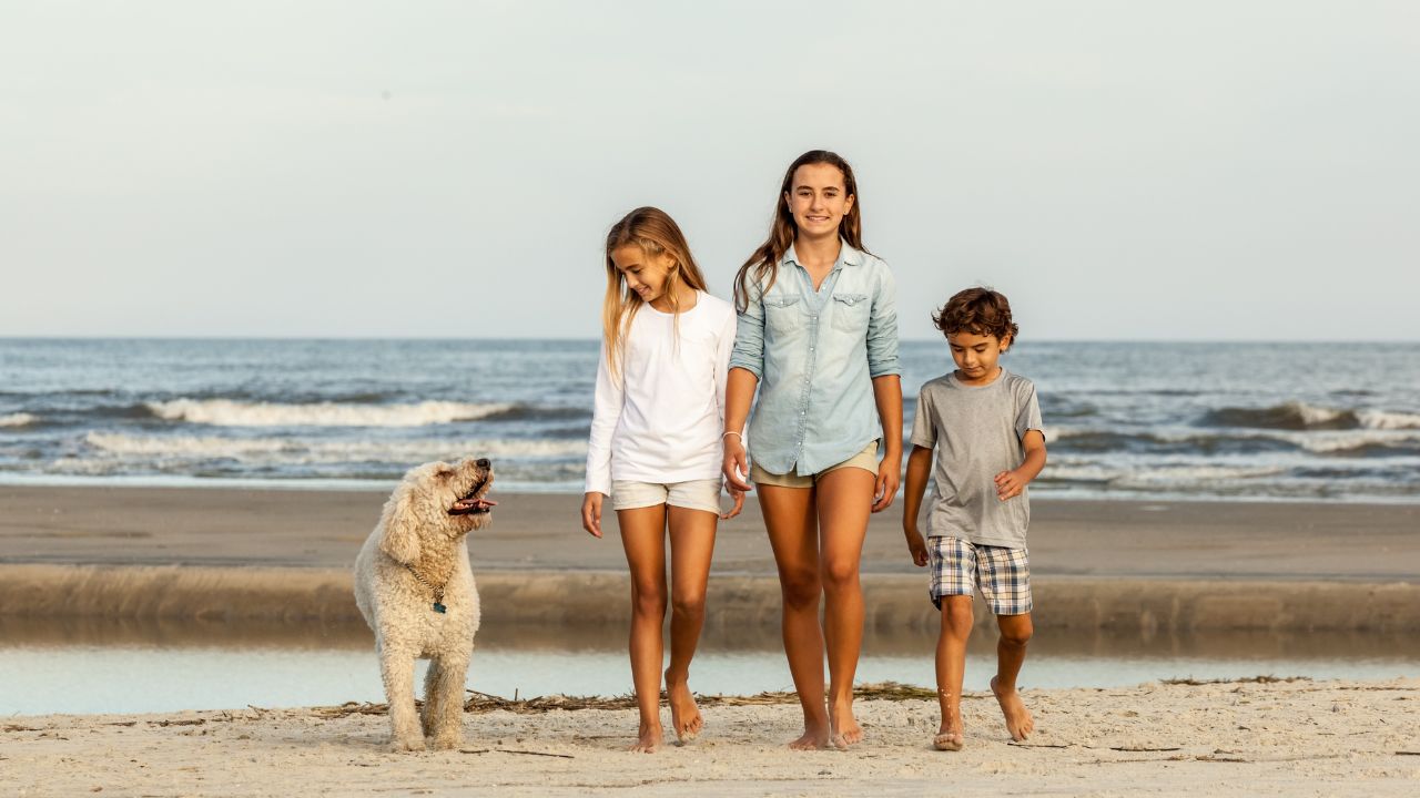 Visitors strolling along the Ocean Shores beach