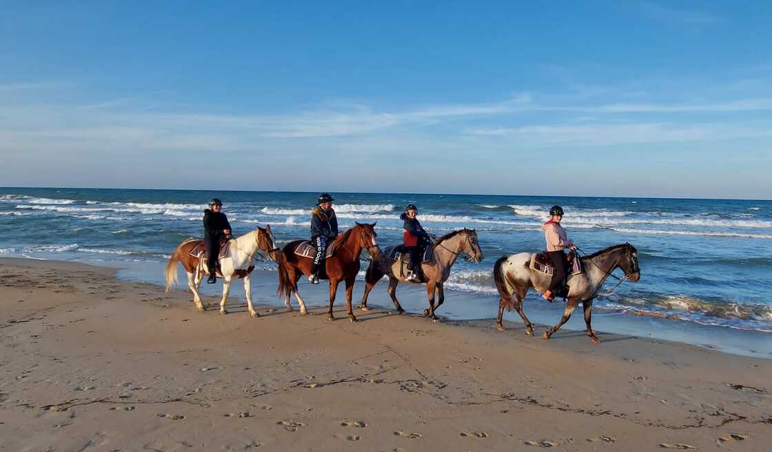 Riders on horseback along the Ocean Shores beach