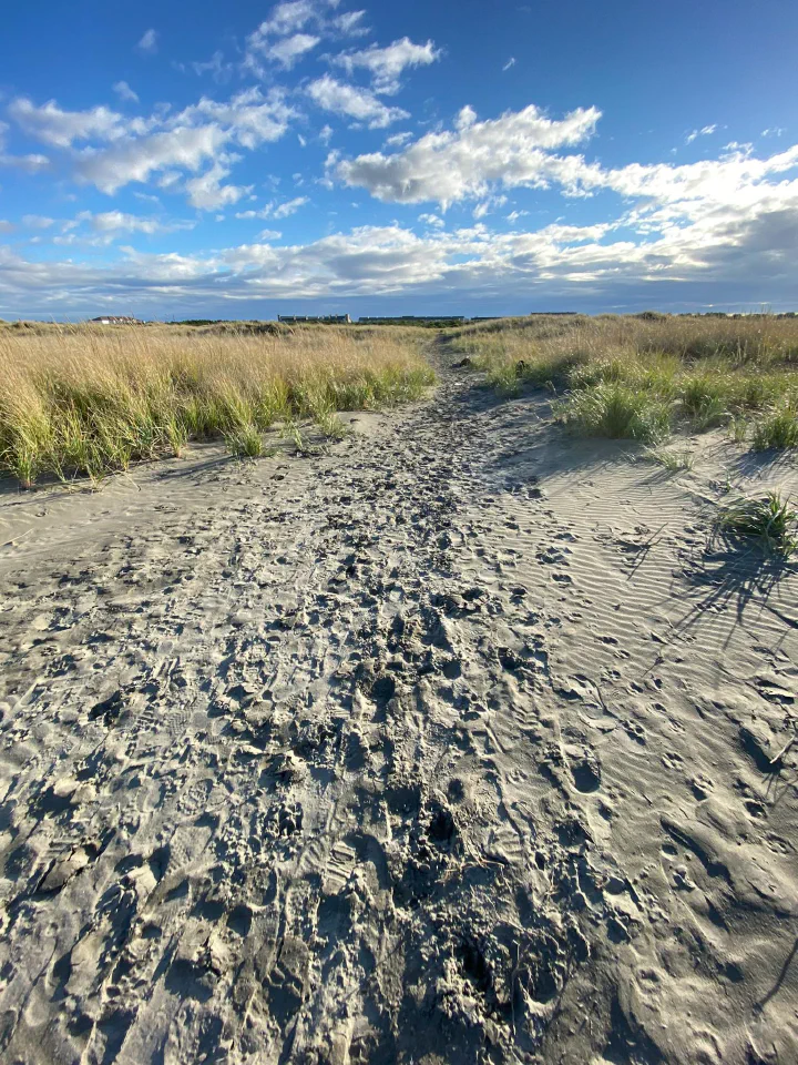 Ocean Shores beach near Tidal House