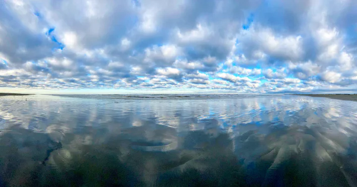 Ocean Shores beach landscape