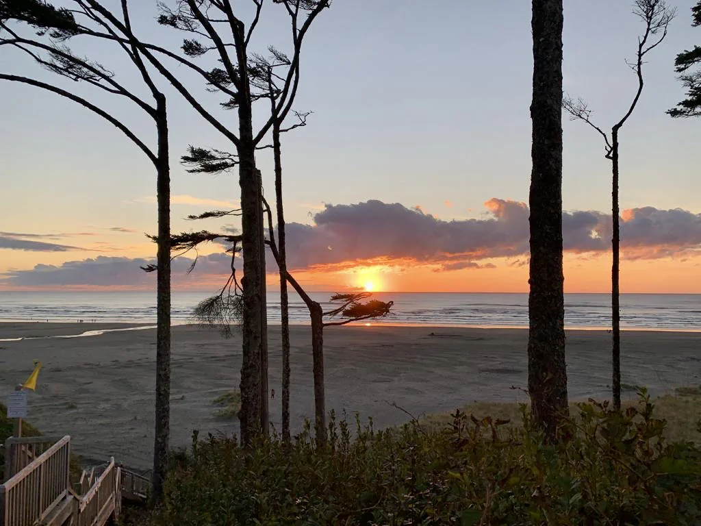 Sunset over the Pacific Ocean, framed by coastal trees above the beach