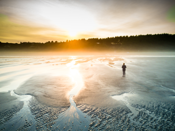 Ocean Shores Beach Photo