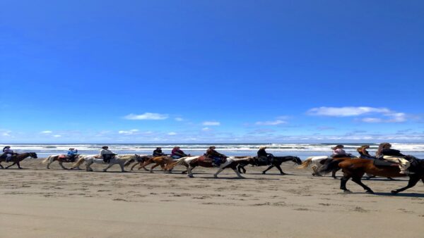 Group of riders on horseback along the Pacific Ocean beach in Ocean Shores, Washington
