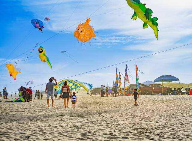 Colorful kites flying at a beach kite festival with families watching